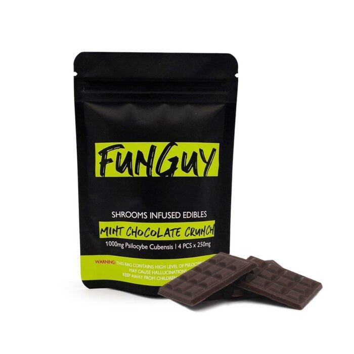 FunGuy Mint Chocolate Crunch Bar for Sale In UK